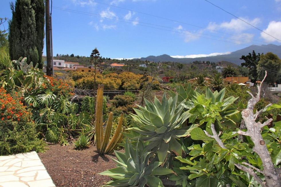 Jardin de Aridane Otel El Paso Dış mekan fotoğraf